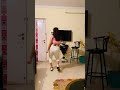 Apoorva Aroora Dance On Brown Munde Awesome Dance By Apoorva Aroora Must Watch