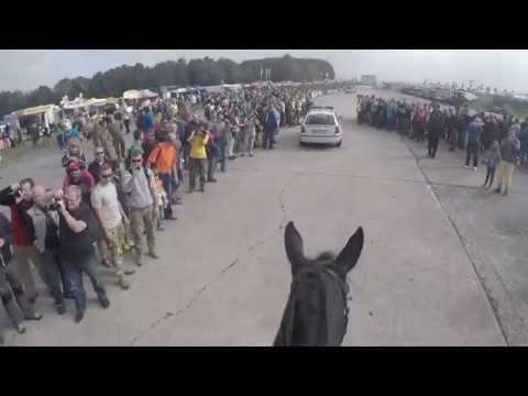 Dny NATO 2015 - jízdní oddíl Městské policie Ostrava