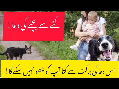 Kutte se mehfooz rehne ki azmoda dua!