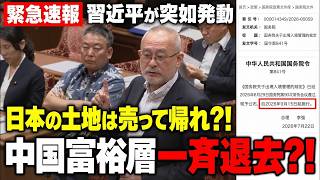 【日本に異変】習近平が突然「30日ルール」を発動!国会で法務大臣がまさかの「共感するところもあります」【島田洋一北村晴男日本保守党高市総理】