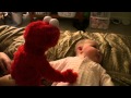 Night Of Elmo Live