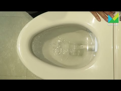 A Demonstration of Toto's Washlet Toilet Seat