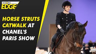 Download lagu Unique show: Horse struts catwalk at Chanel's Paris Haute Couture show | WION Edge mp3 Download lagu Unique show: Horse struts catwalk at Chanel's Paris Haute Couture show | WION Edge mp3