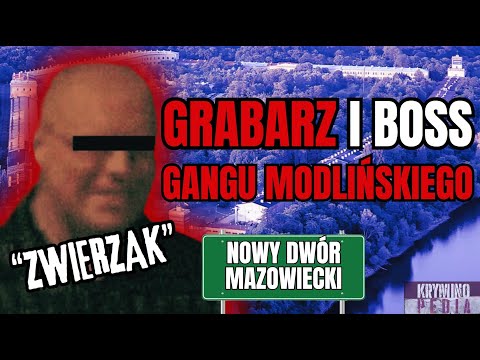 Rafał "ZWIERZAK" Ł. - the story of the brutal leader of the young Modliński Gang