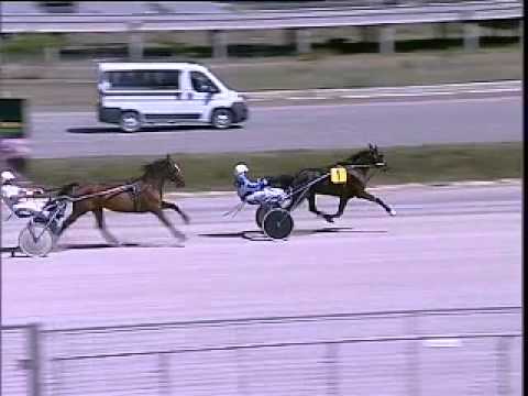 IPPODROMO DEI PINI - Prove di riqualifica del 26 maggio