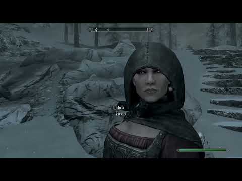 Day 856 - Killing Every NPC Until Elder Scrolls 6 is Released