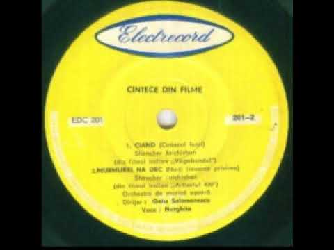 Naarghita-Murmurki na dec(Nu-ti intoarce privirea)