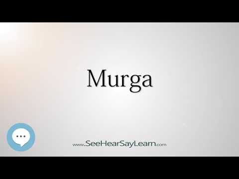 Murga (How to Pronounce Cities of the World)💬⭐🌍✅