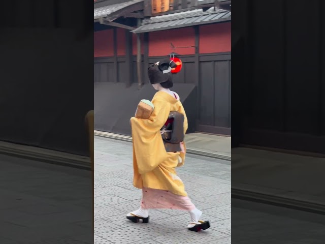 Vídeo relacionado con Geisha Asia Japón Mujer Vintage Cultura Tokio Geisha Camiseta