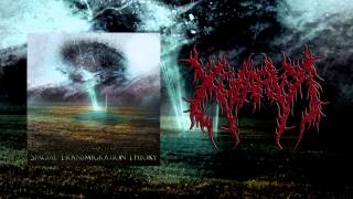 [PREMIERE] Xolaria - Spacial Transmigration Theory (NEW SONG 2014)