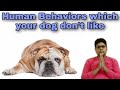 Human Behaviors Which Your Dog Don T Like Happypet
