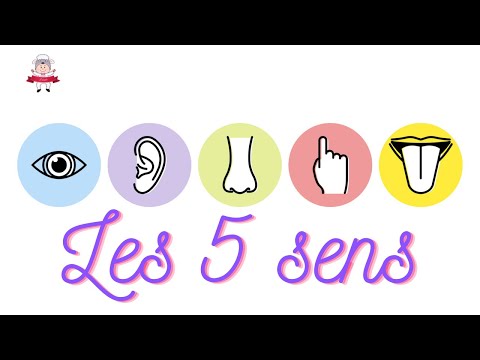 APPREND LE CORPS HUMAIN #5  - [LES 5 SENS]