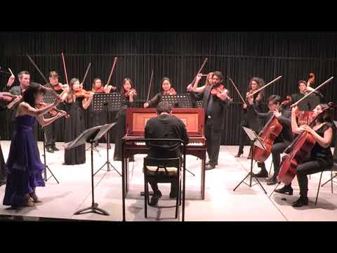 Vivaldi Four Seasons "Summer" Presto
