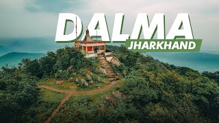 Dalma Wildlife Sanctuary  Jharkhand  Cinematic Tra