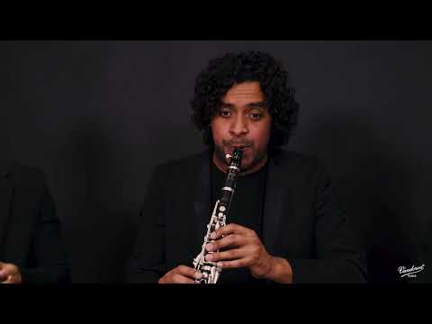 Venezuelan Clarinet Trio - « I cicli dell’iride » - Michele MANGANI  -