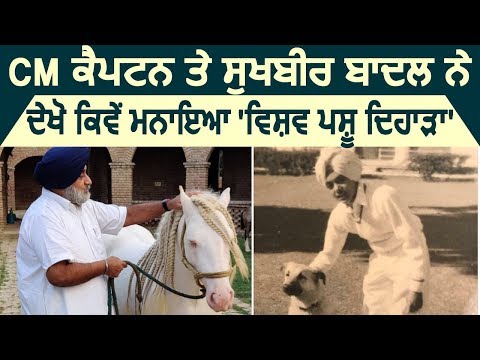 देखें  CM Captain और Sukhbir Badal ने कैसे मनाया World Animal Day