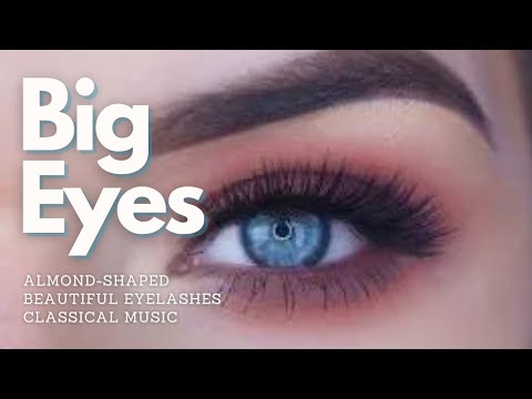 ♫ Stunning Big Eyes! ~ Almond-Shaped + Beautiful Eyelashes + Eyebrows V.2 ~ Classical Music