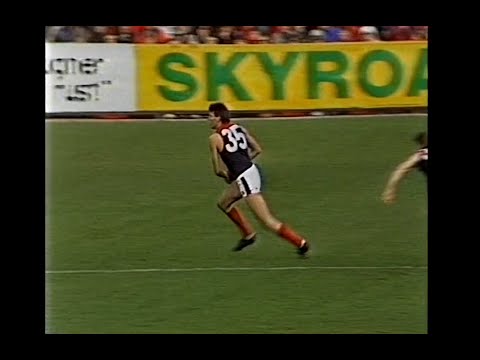 Earl Spalding - Melbourne - 2 goals v Essendon - 1987 Round 10 - Windy Hill - VFL