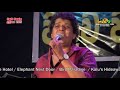 Walawa Wasantha Udanaya 15 Sunflowers With Namal Udugama