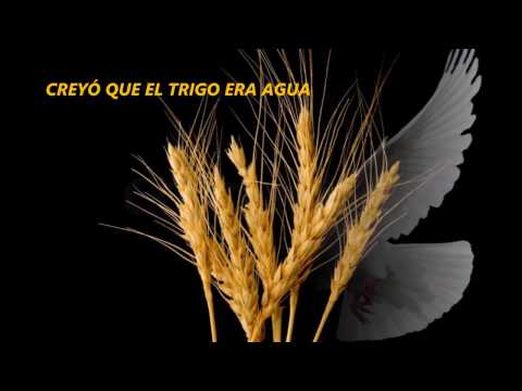 Joan Manuel Serrat - Se Equivocó la Paloma