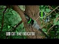 Product video thumbnail