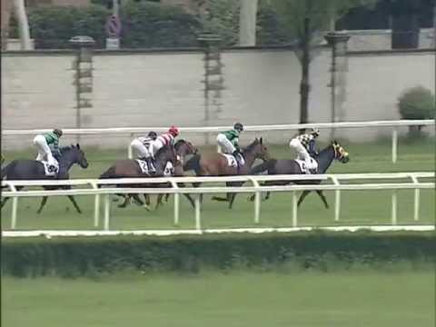 Premio Ambrosiano 2013 (GRUPPO 3)