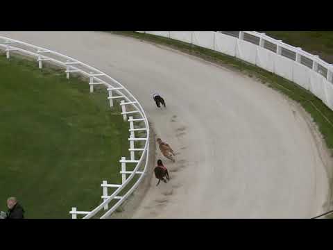 2021.05.07. 01. futam - Szezonnyitó Nagydíj