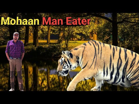 मोहान का आदमखोर बाघ । The Mohaan Man Eater । Jim Corbett ।  शिकार कहानी। Best Hunting Story। Tales