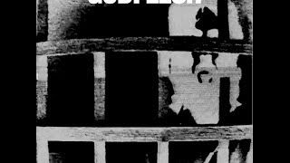 Open Review: Godflesh Decline and Fall