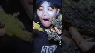 Download lagu Do know this wild food? #nature #food mp3 Download lagu Do know this wild food? #nature #food mp3