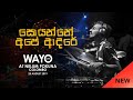 WAYO Live Soyanne Ape Adare සොයන්නේ අපේ ආදරේ