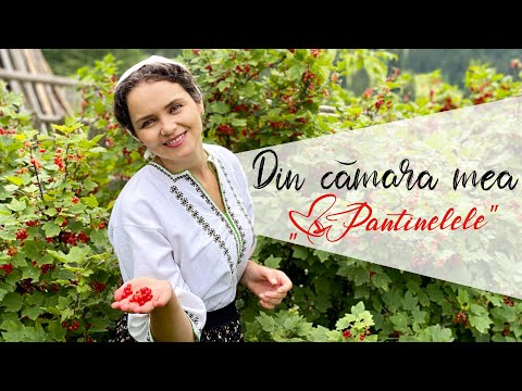 Angelica Flutur  -  Din cămara mea (PANTINELE)