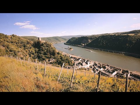 Königsetappe: St. Goarshausen - Kaub (Rheinsteig)