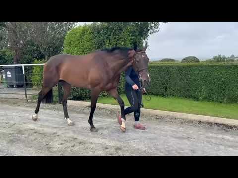 Video 1