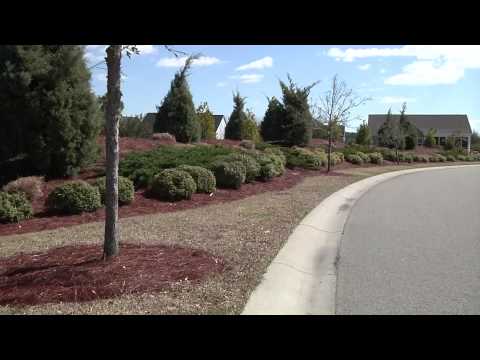 download lagu mp3 mp4 Synthetic Pine Straw, download lagu Synthetic Pine Straw gratis, unduh video klip Synthetic Pine Straw