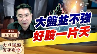 大盤並不強 好股一片天 (圖)