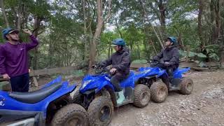 どきどきヤンバルンチャー