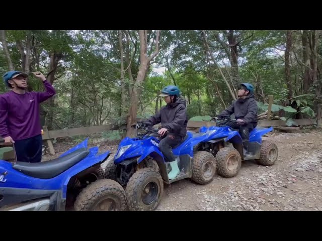 どきどきヤンバルンチャー