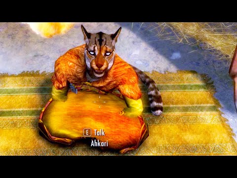 I don't know why so many call Khajjits thieves and smugglers.