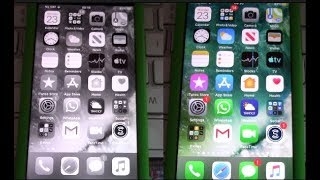 How to turn iPhone Screen from Black and White back to Color on iOS 13