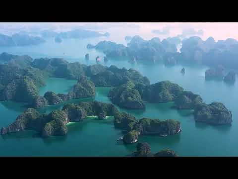Video dự án 5