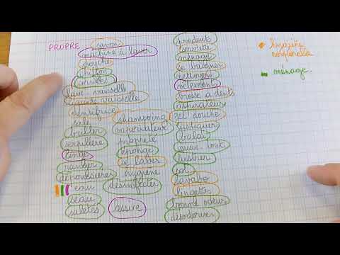 trace finale du champ lexical organisé