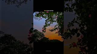 Download lagu KHUDAYA KHAIR SONG STATUS FULL SCREEN #lyrical mp3 Download lagu KHUDAYA KHAIR SONG STATUS FULL SCREEN #lyrical mp3