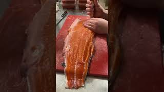 Air Plier for Pulling the Salmon Fish Bone and Barb clippers