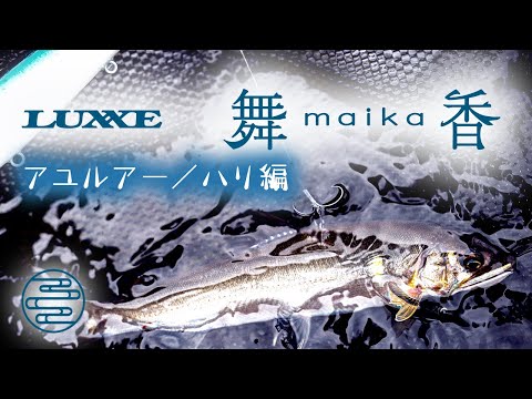 【GAMAKATSU×アユルアー】清流でアユを追う~ハリ編~