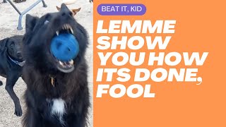 Thumbnail