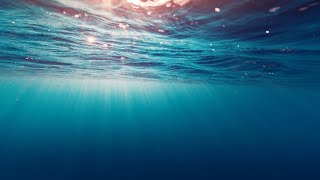 Mnemic - DB XX&#39;d