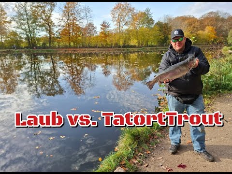 Successful in autumn - Koesterrieth fishing ponds