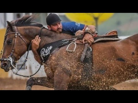 OUSADIA DE VAQUEIRO - TARCISO DO ACORDEON (VAQUEIRO MODERNO)