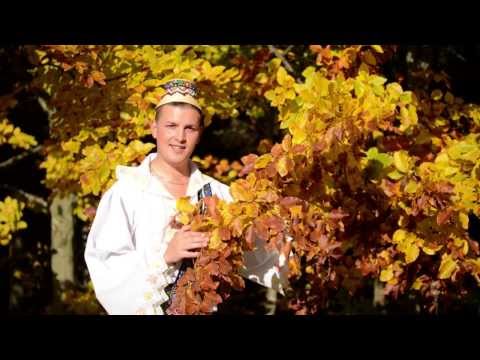 Ionut Bledea - Zboara cuce pe sub nor